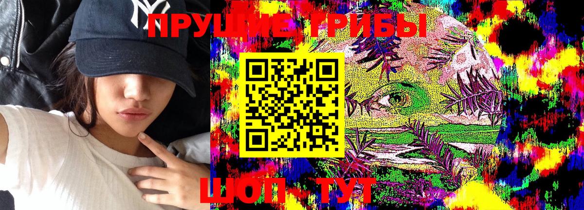 Псилоцибиновые грибы Psilocybe Шарыпово