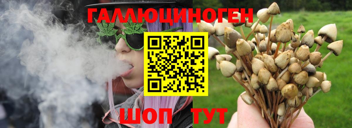 Шарыпово  наркошоп  Вход с VPN  Галлюциногенные грибы GOLDEN TEACHER 